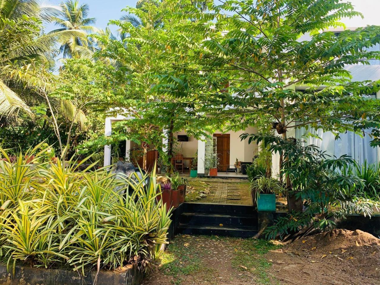 Chill House Safari Resort Udawalawe Exterior foto